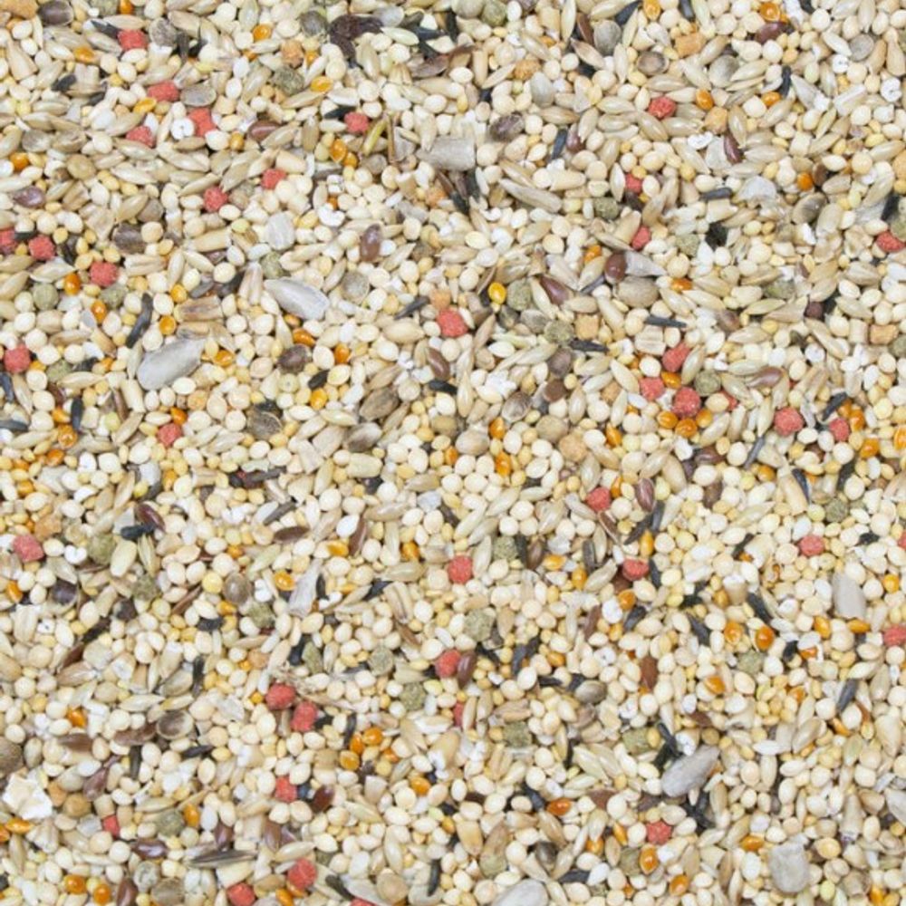 Higgins, Vita Seed Natural Blend Finch Food, 25 lb