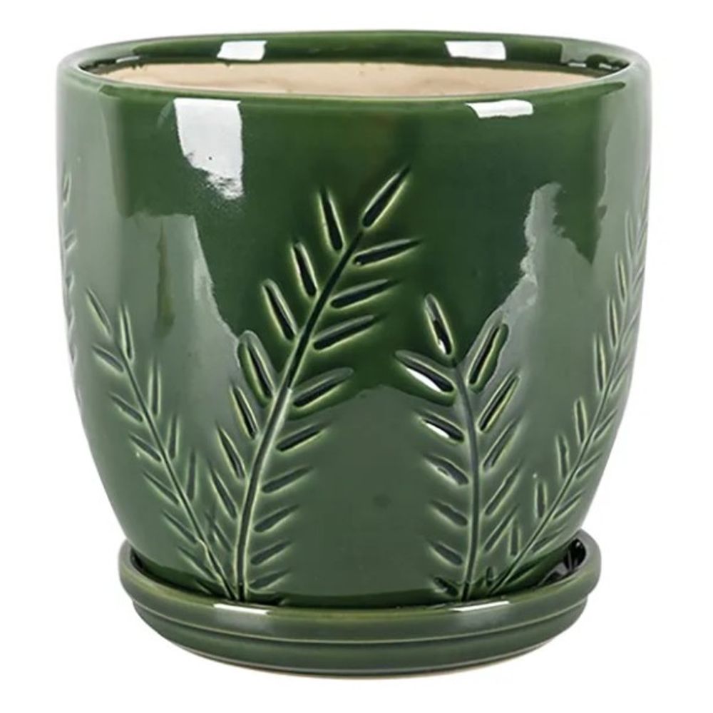 Border Concepts, Emerald Kora Planter