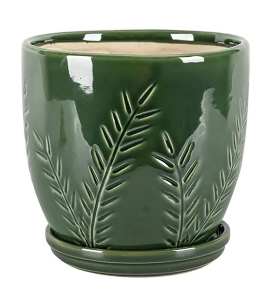 Border Concepts, Emerald Kora Planter