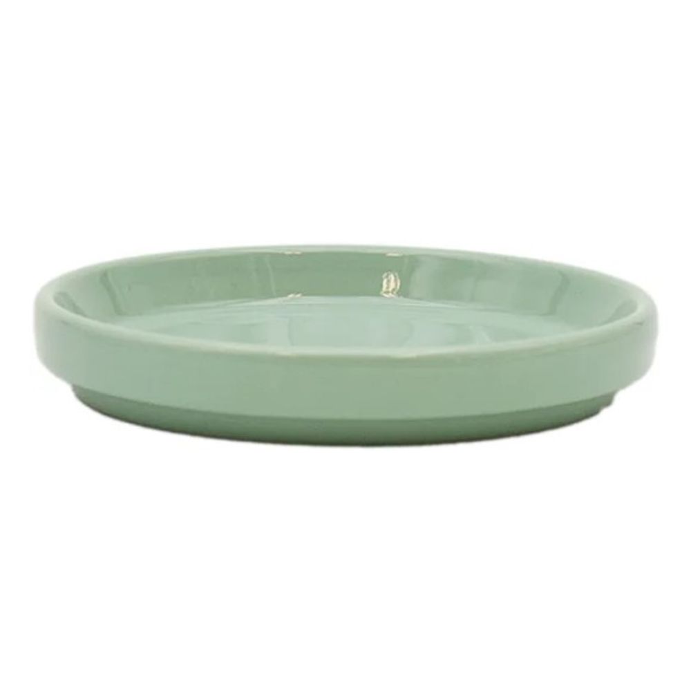 Border Concepts, Seafoam Green Standard Pot Saucer 