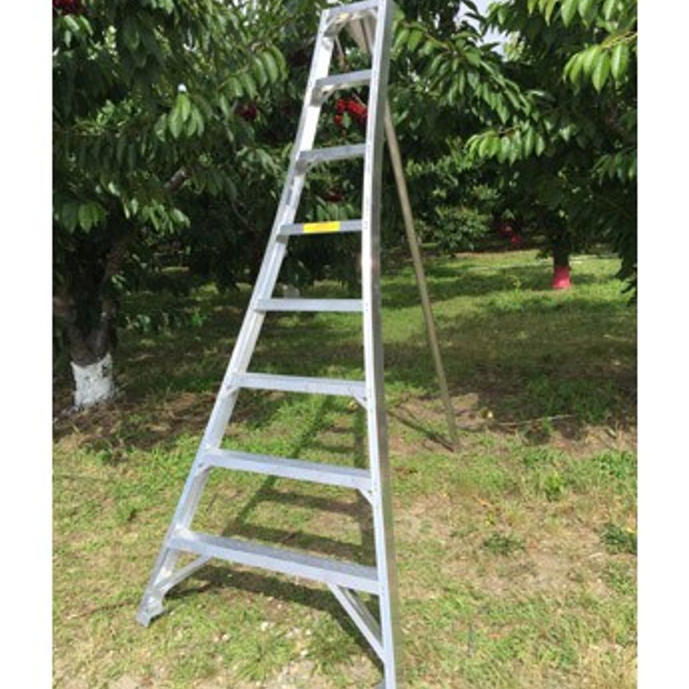 Ladder King, 8' Aluminum Orchard Ladder