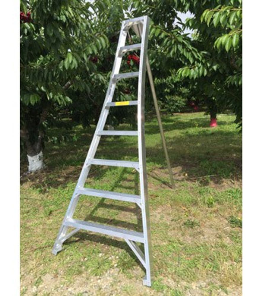 Ladder King, 8' Aluminum Orchard Ladder