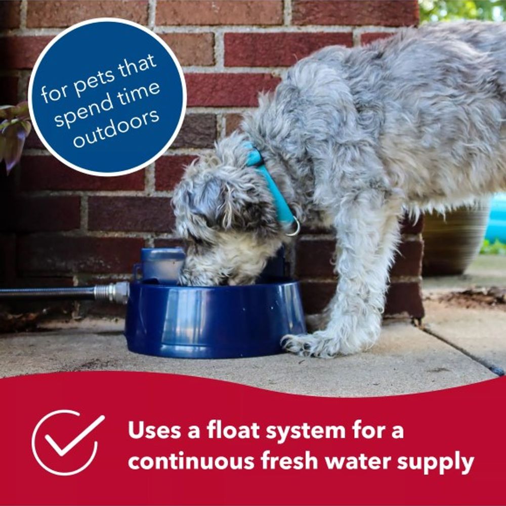 Coastal Pet Products, Navy Bergan Auto-Waterer