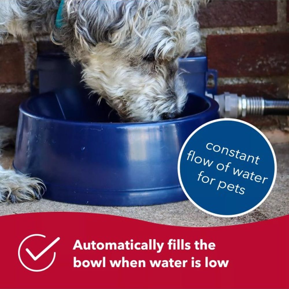 Coastal Pet Products, Navy Bergan Auto-Waterer