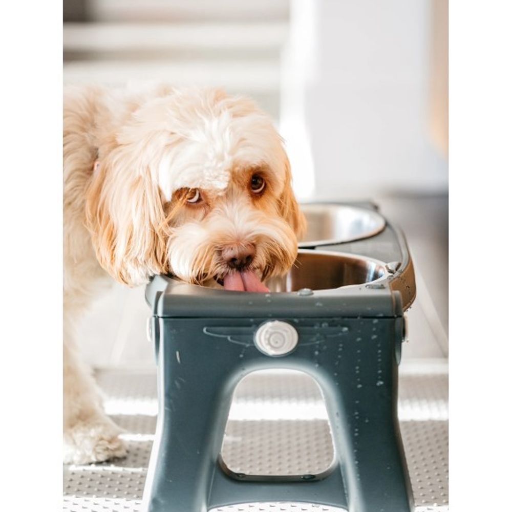 Dexas, Stainless Steel Adjustable Feeder