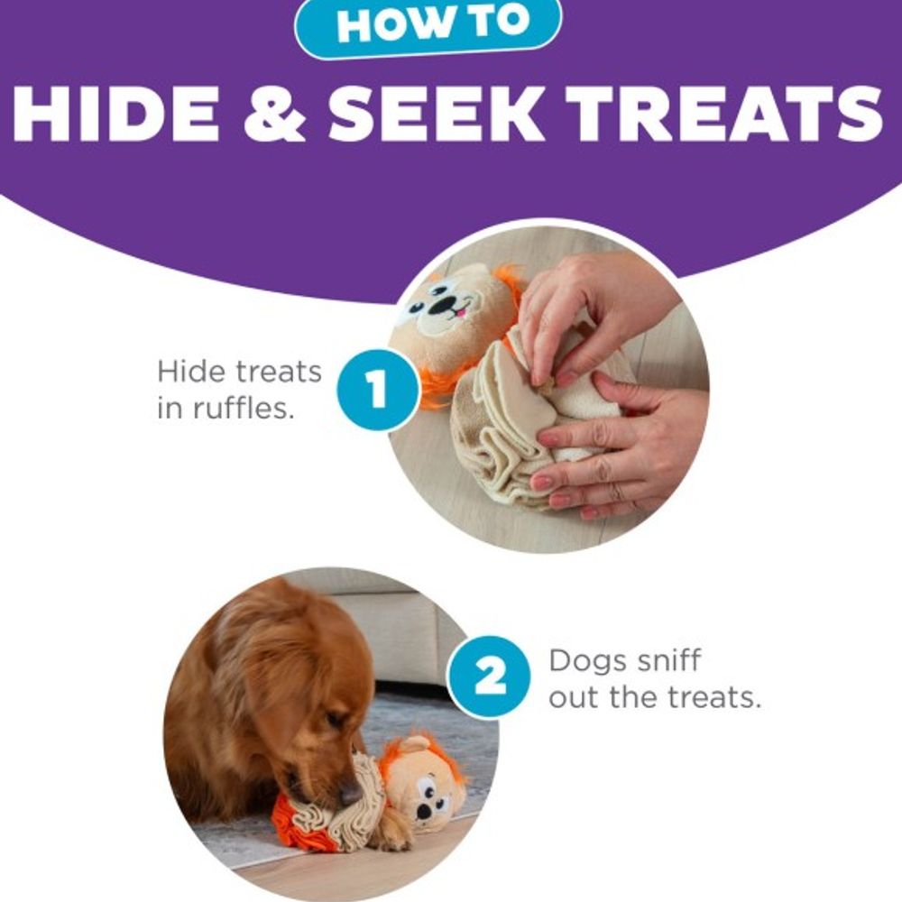 Outward Hound, Stuff N' Snuffle Interactive Lion Plush Dog Toy