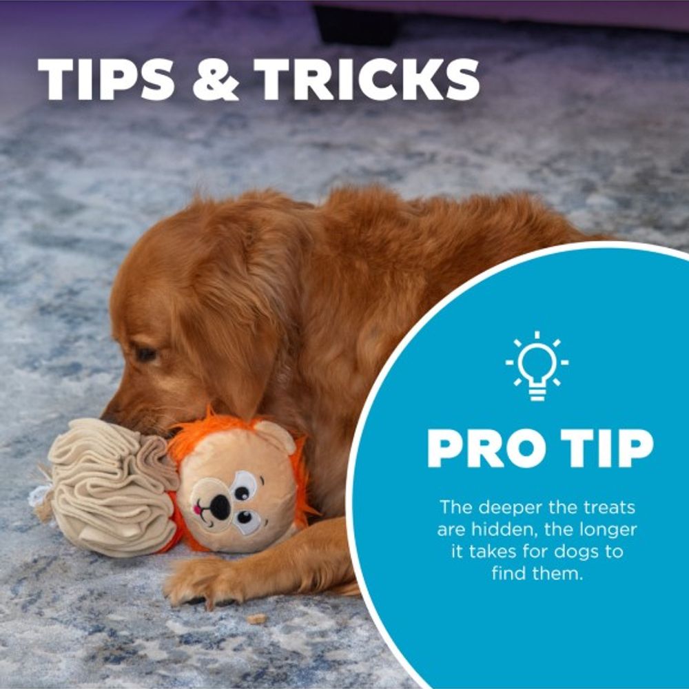 Outward Hound, Stuff N' Snuffle Interactive Lion Plush Dog Toy