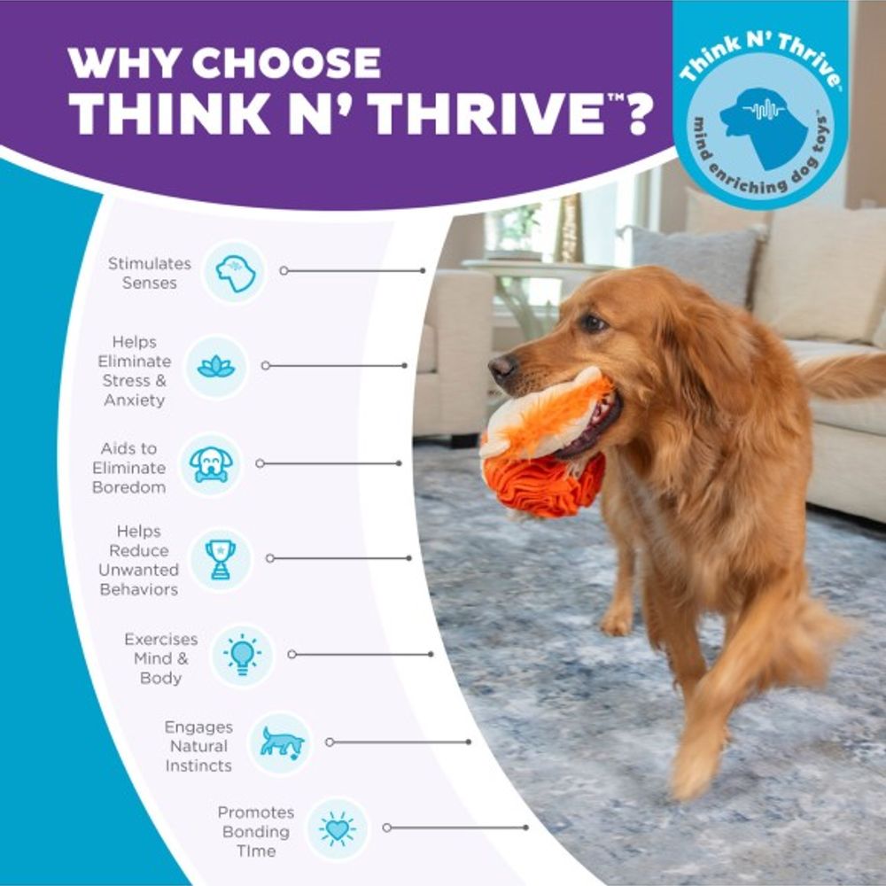 Outward Hound, Stuff N' Snuffle Interactive Lion Plush Dog Toy