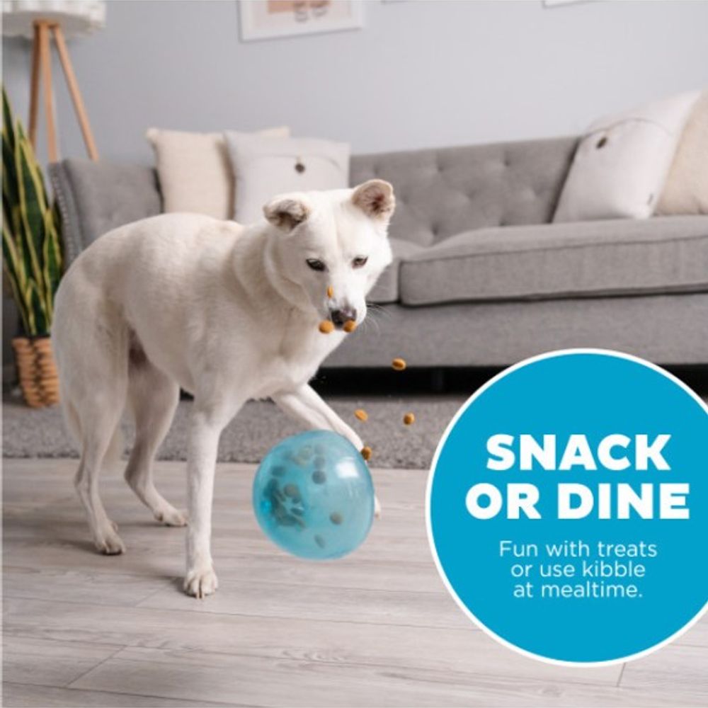 Outward Hound, Orbee-Tuff Large Snoop Interactive Treat Dispensing Dog Toy
