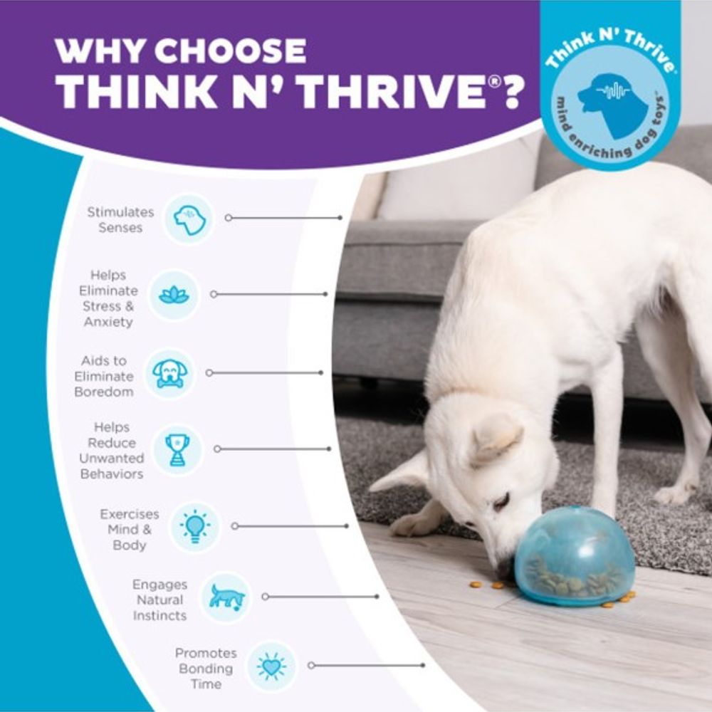 Outward Hound, Orbee-Tuff Large Snoop Interactive Treat Dispensing Dog Toy