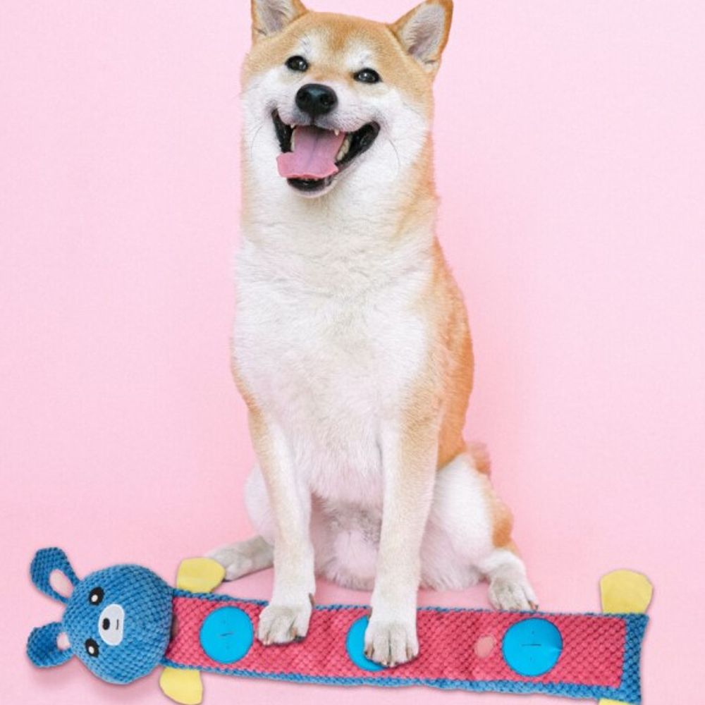 Spot, 25" Assorted Snuffle Roll Puzzle Toy