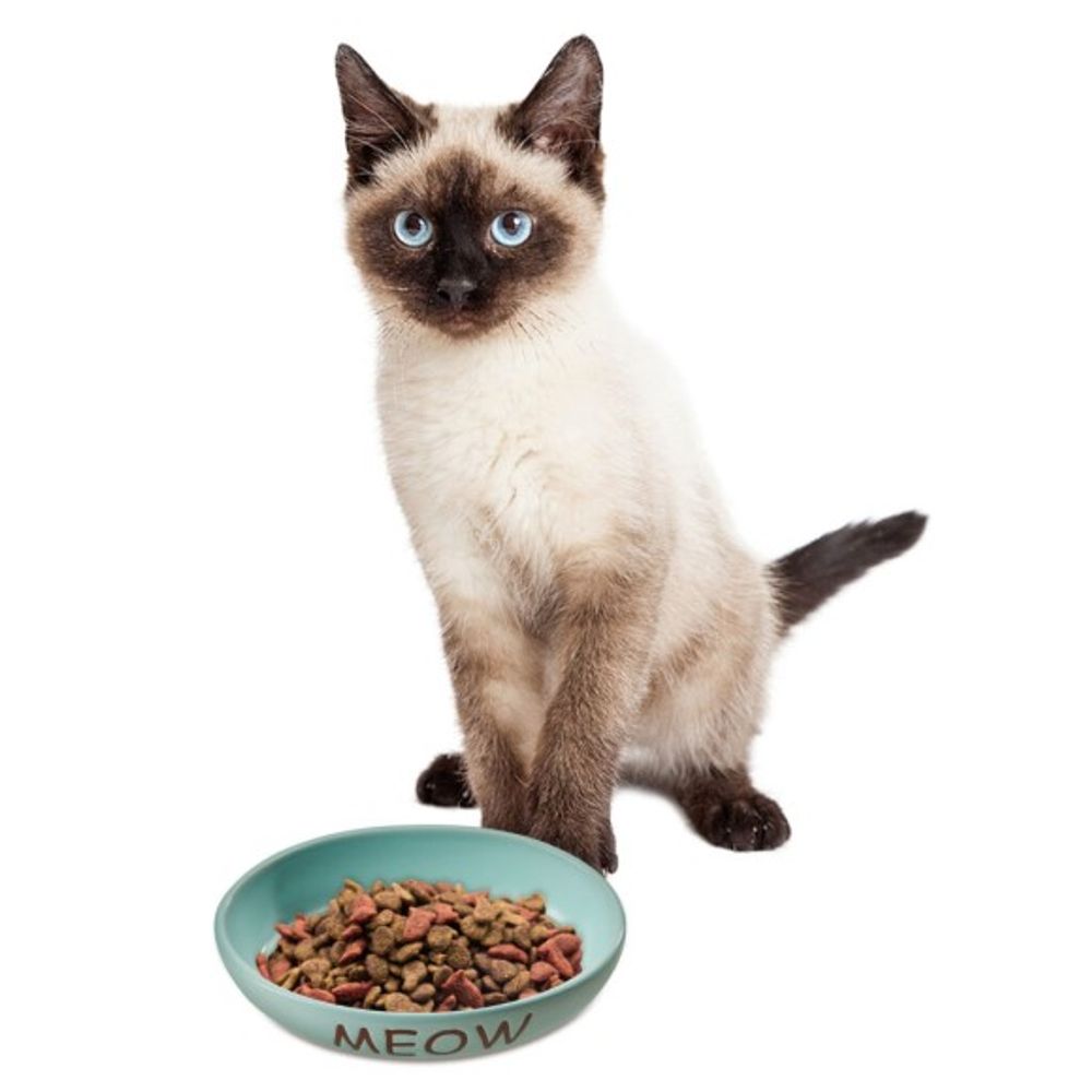 Spot, 6" Blue Portofino Oval Cat Dish