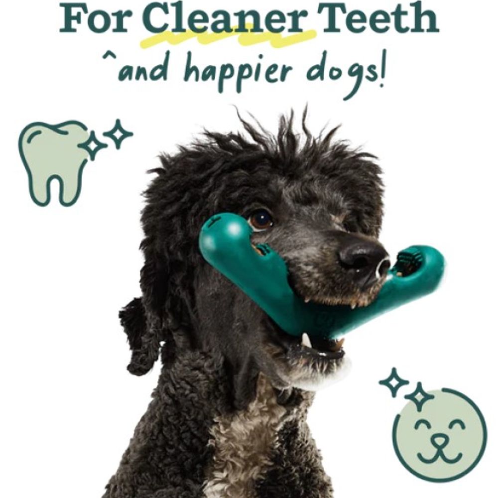 Woof, Bite n' Brush 