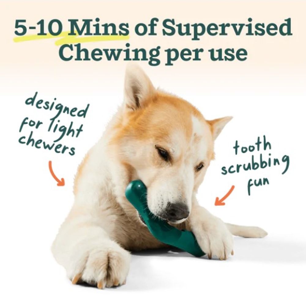 Woof, Bite n' Brush 