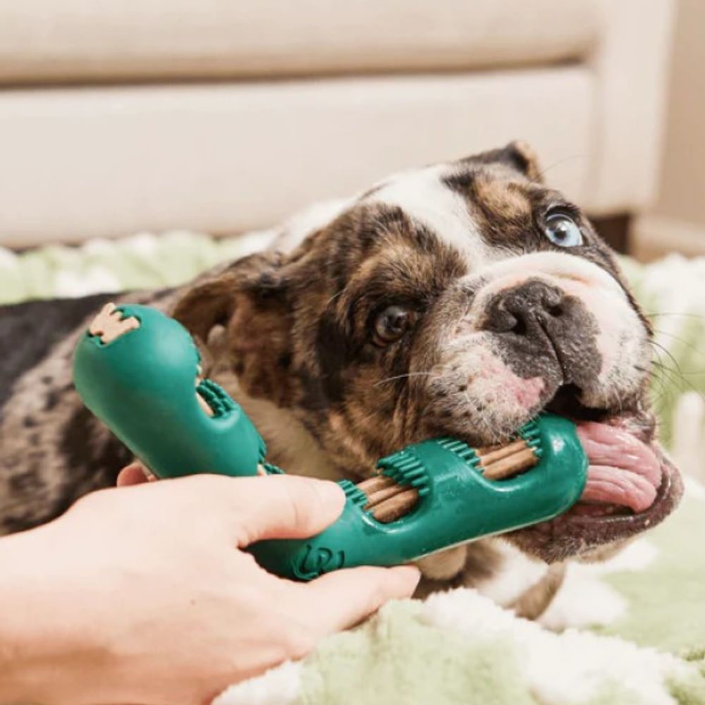 Woof, Bite n' Brush 