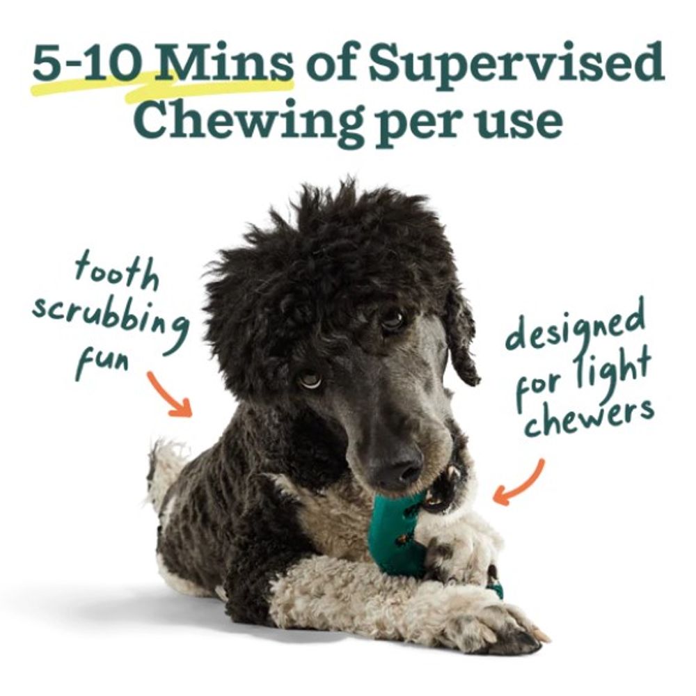 Woof, Bite n' Brush Refills, 18 ct