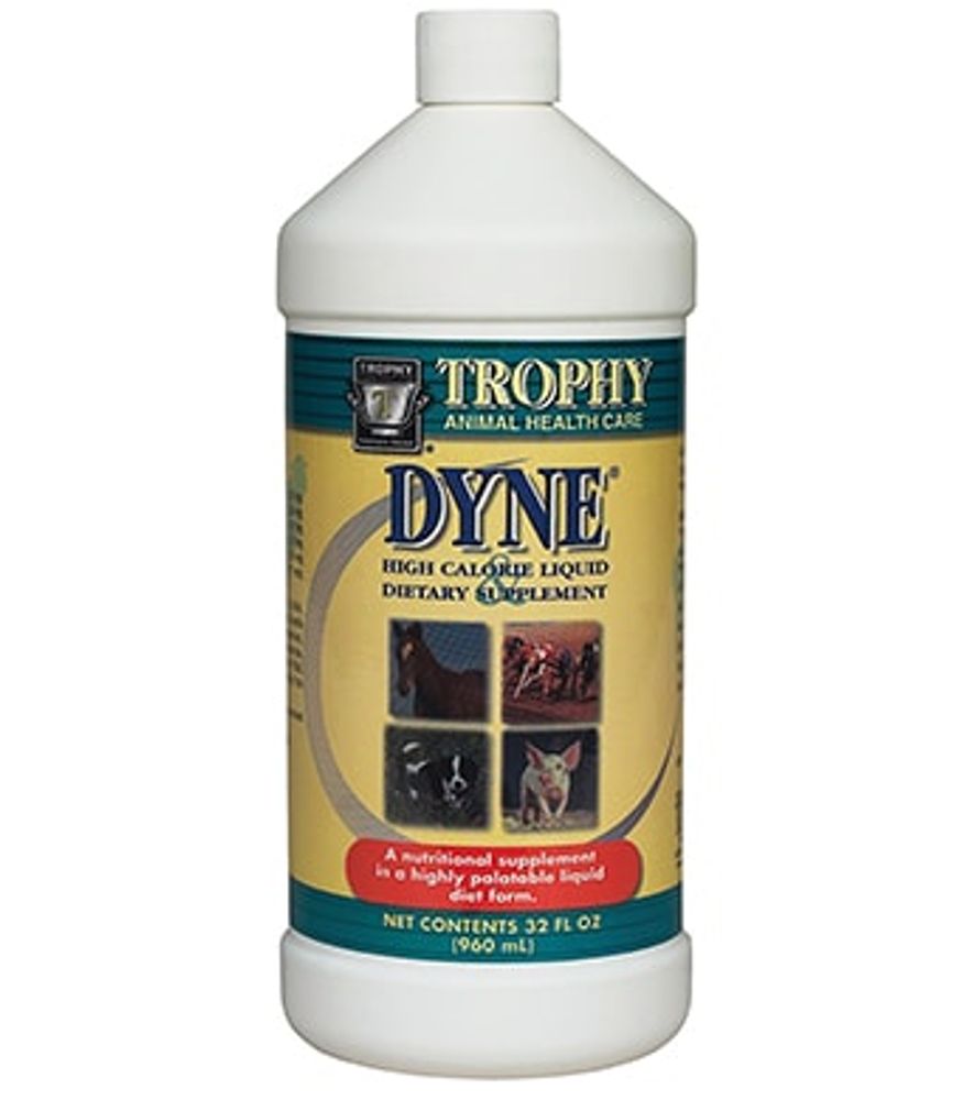 Dyne High Calorie Liquid Supplement, 32 fl. oz.