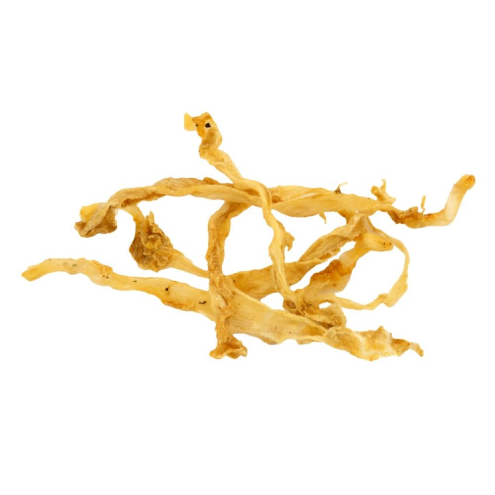 Jones Naturals Chews, Turkey Tendons, 2 oz