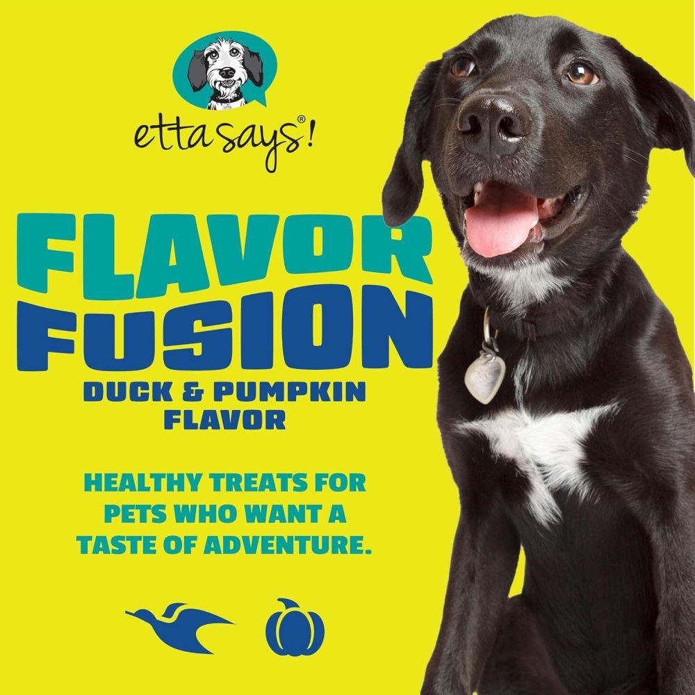 Etta Says!, Flavor Fusion Duck & Pumpkin Chew