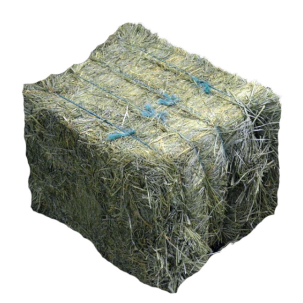 Orchard Grass Hay Bale