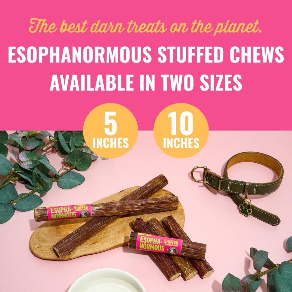 Etta Says!, 10" Esophonormous Esophagus Stuffed Bully Sticks