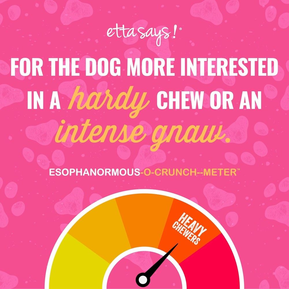 Etta Says!, 10" Esophonormous Esophagus Stuffed Bully Sticks