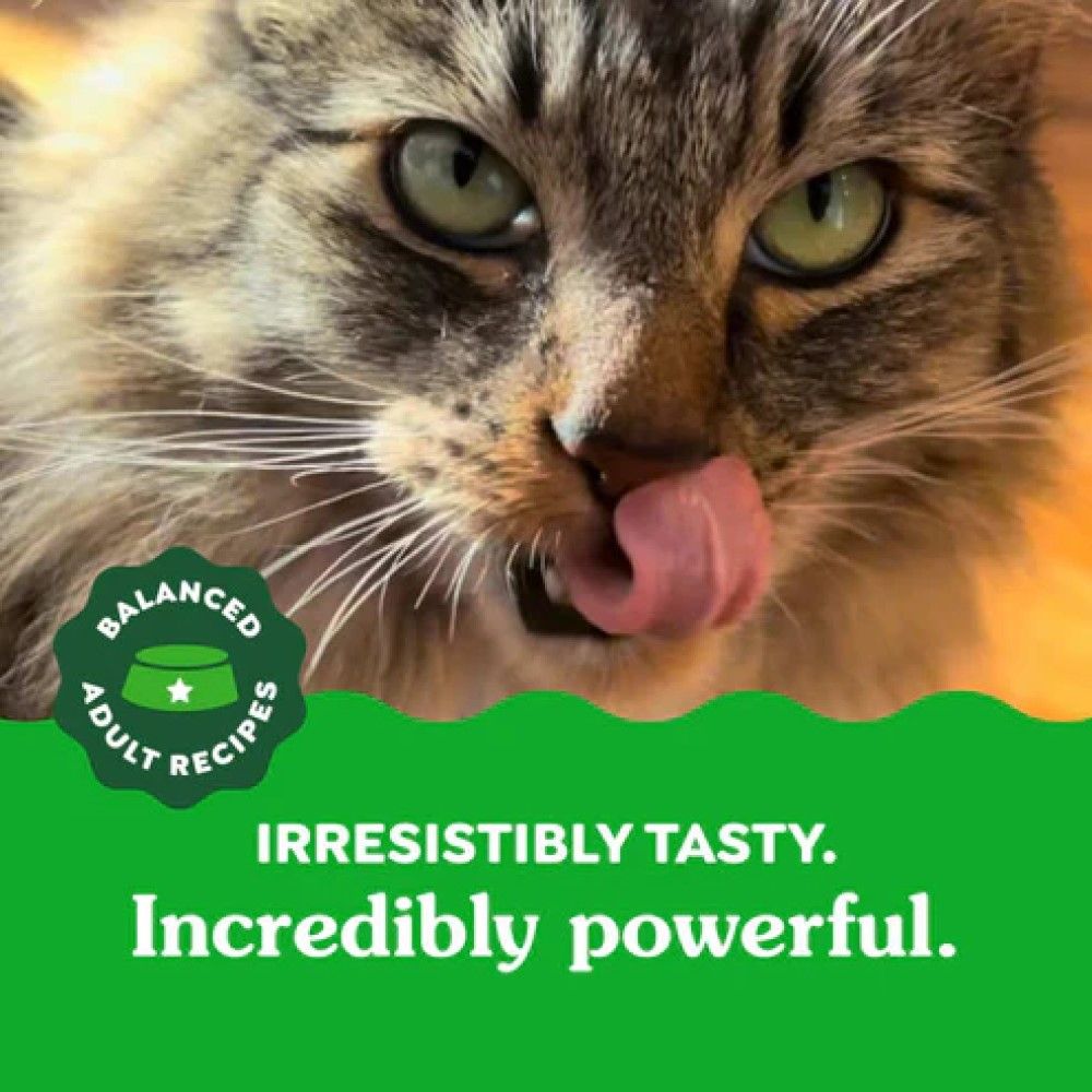 Greenies, Feline Adult Chicken Flavor Natural Dental Care Cat Treats, 9.75 oz