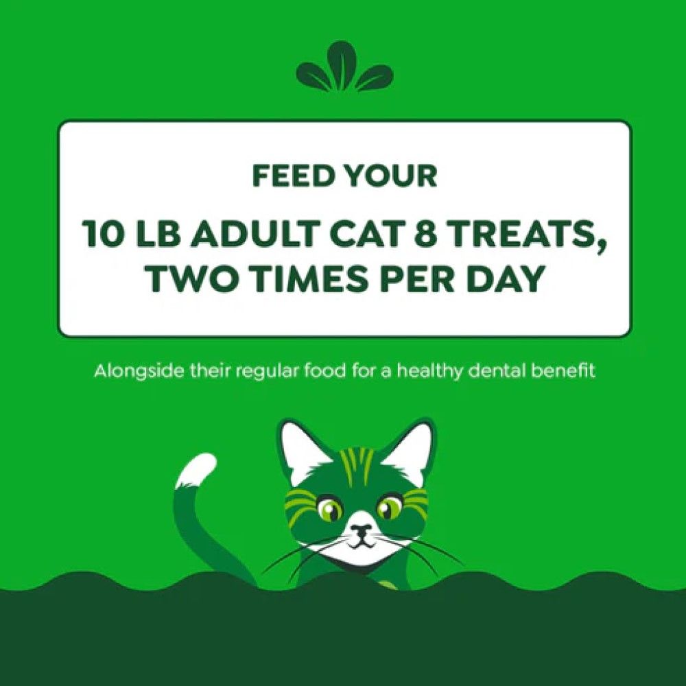 Greenies, Feline Adult Chicken Flavor Natural Dental Care Cat Treats, 9.75 oz