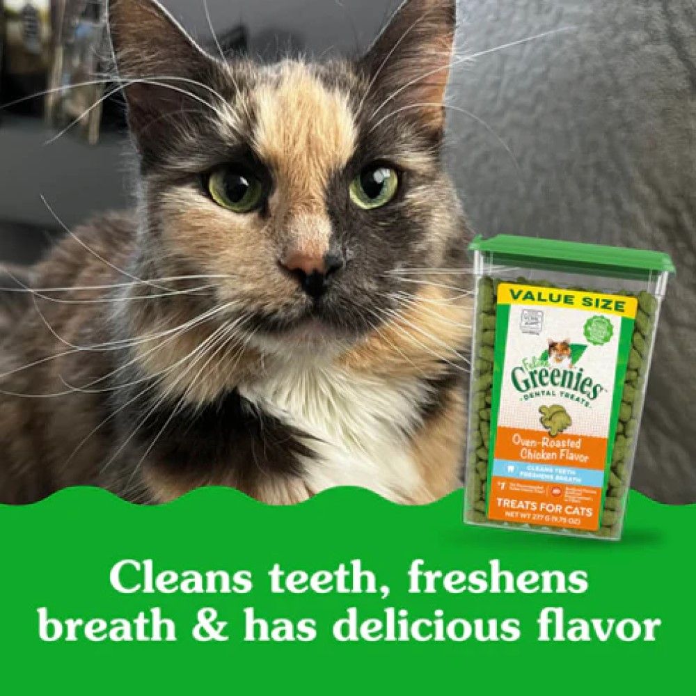 Greenies, Feline Adult Chicken Flavor Natural Dental Care Cat Treats, 9.75 oz