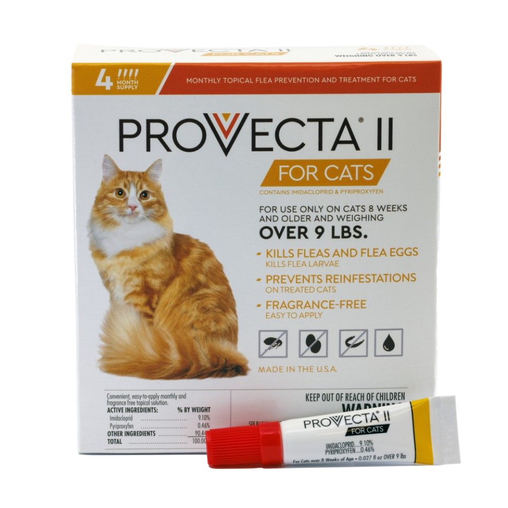 PROVECTA, Advanced For Cat Over 9 lbs, 4 pk