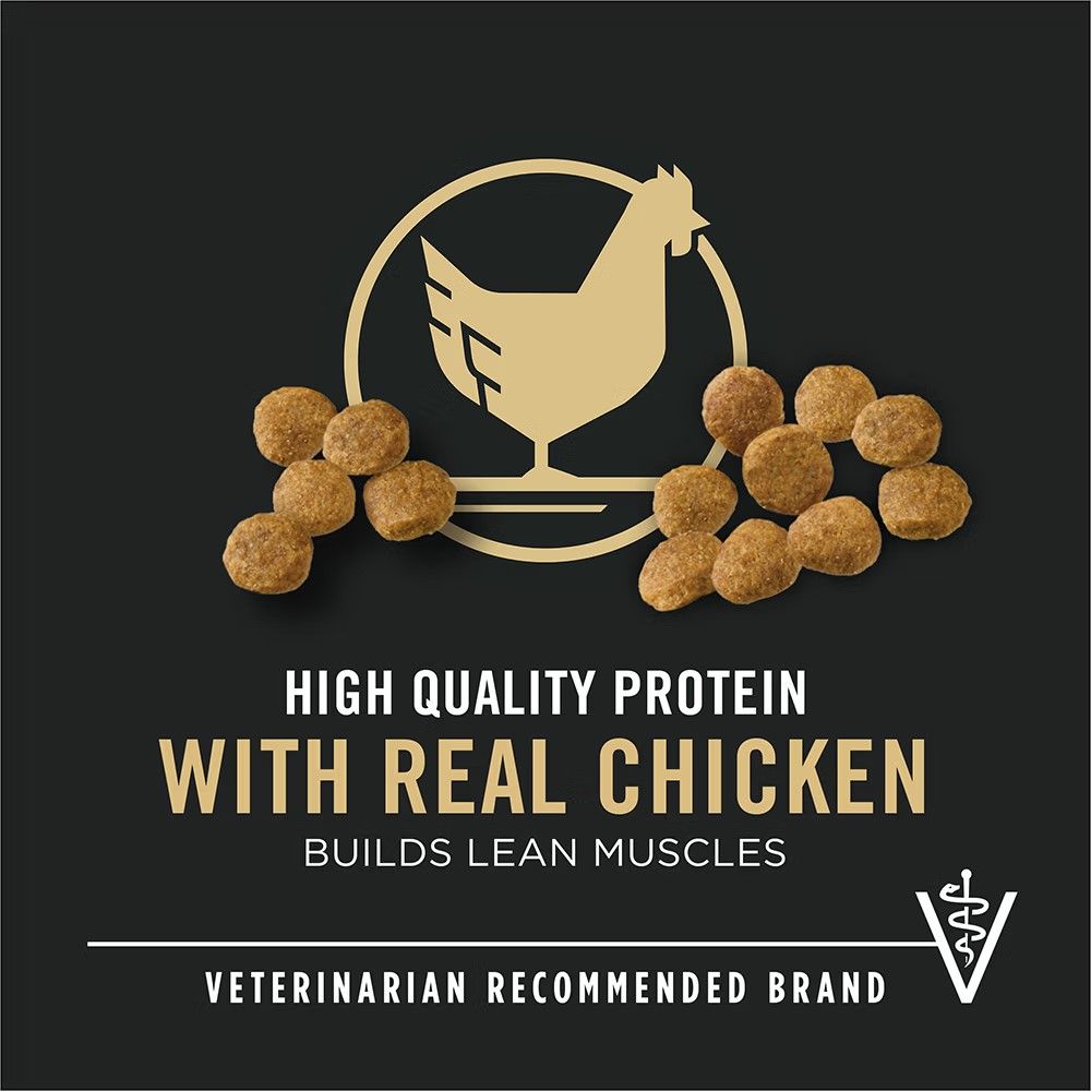 Purina Pro Plan, Puppy Chicken & Rice Dry Dog Food, 6 lb