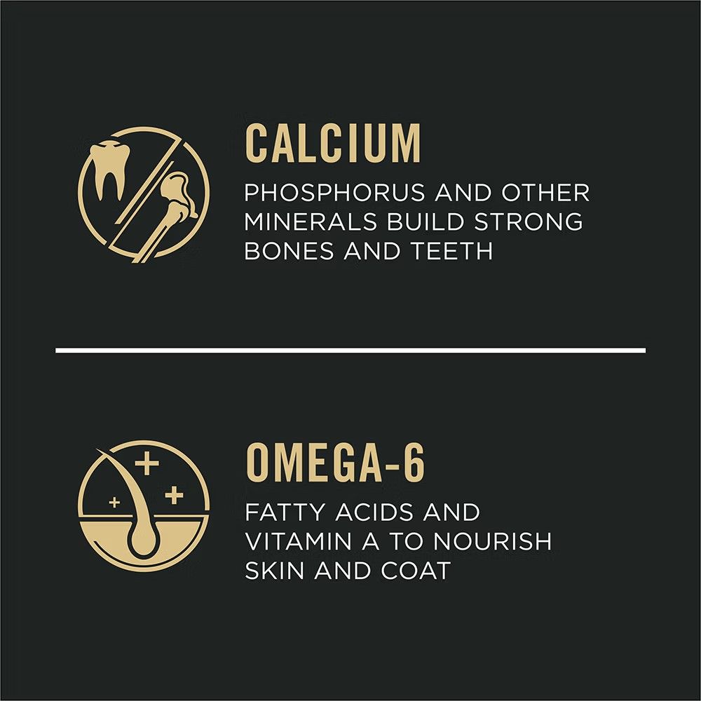 Purina Pro Plan, Puppy Chicken & Rice Dry Dog Food, 6 lb