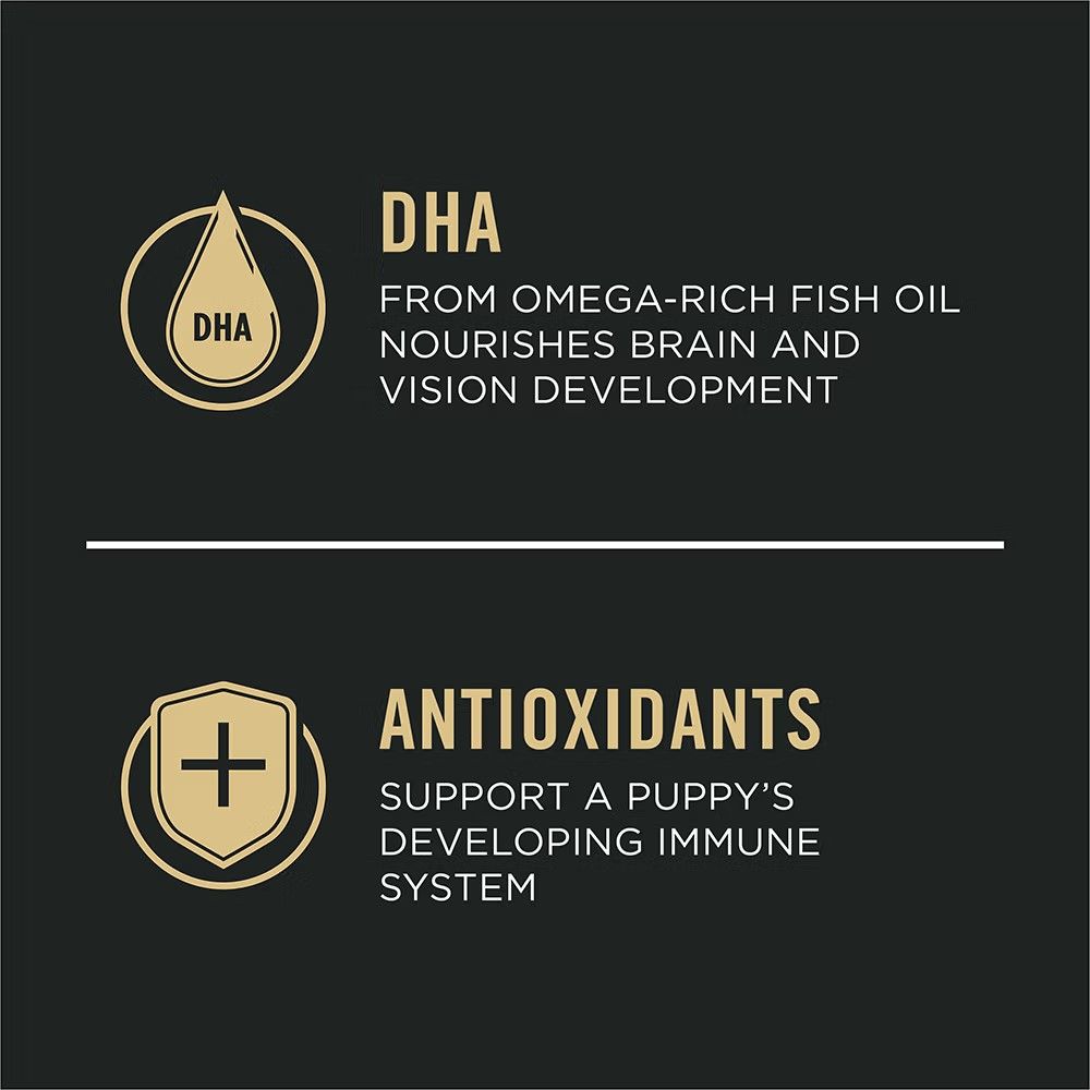 Purina Pro Plan, Puppy Chicken & Rice Dry Dog Food, 6 lb