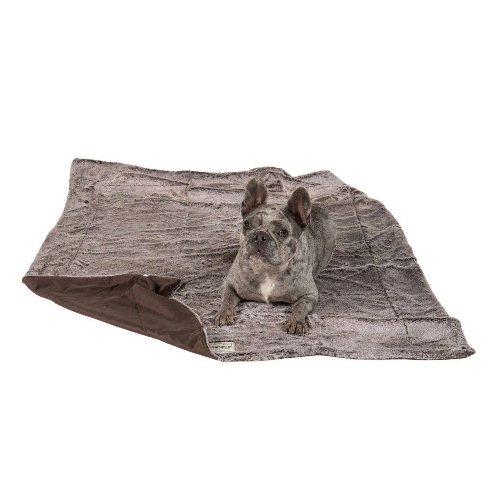 Dog Gone Smart, Itchy Witchy Chocolate Truffle Blanket