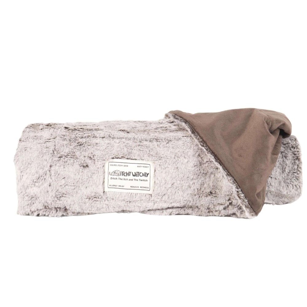 Dog Gone Smart, Itchy Witchy Chocolate Truffle Blanket