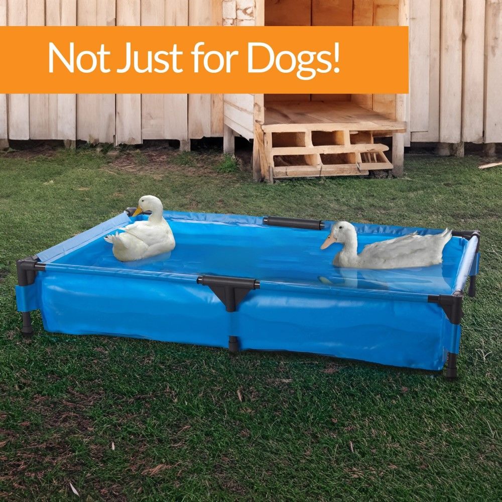 K & H Pet Products, Dog Pool & Pet Bath