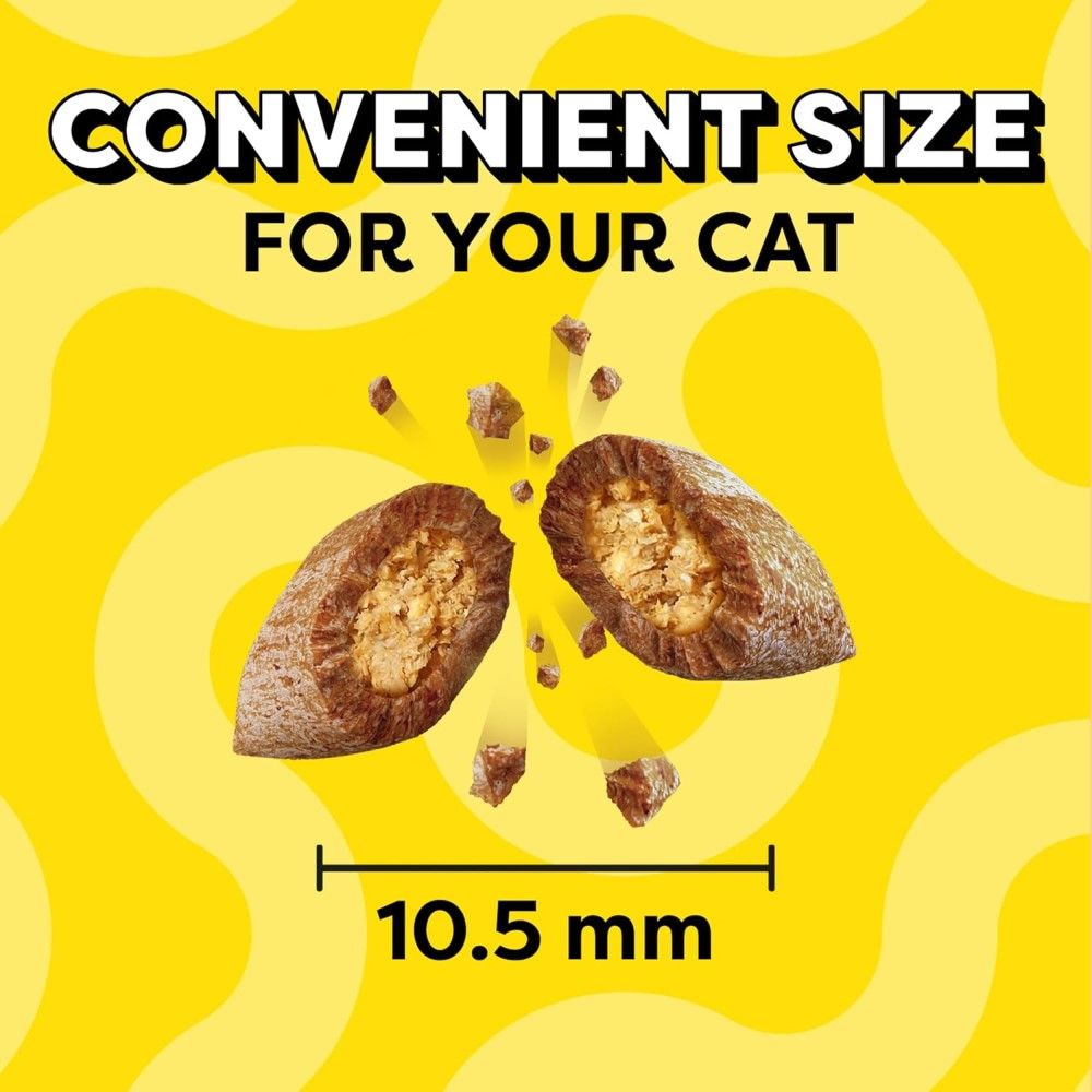 Temptations, Classic Savory Salmon Flavor Cat Treats, 30 oz 