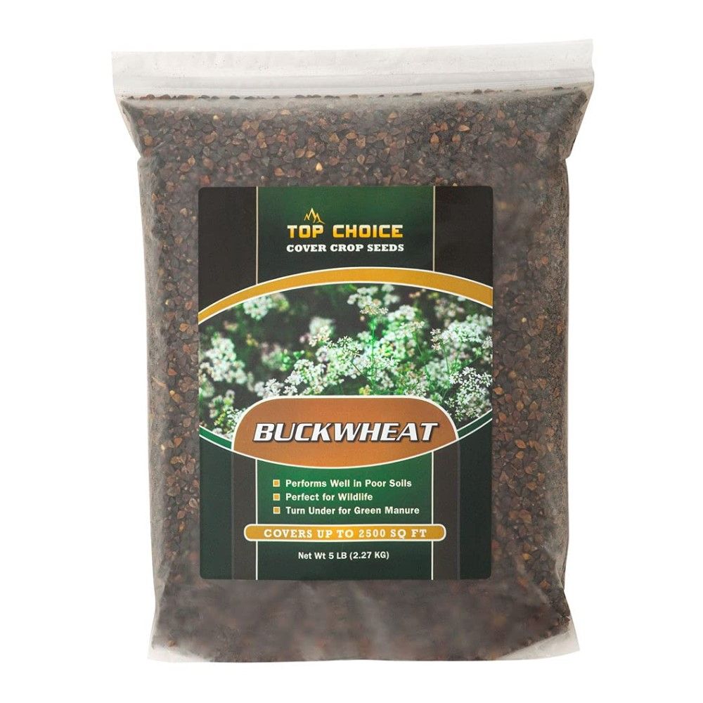 Top Choice, Buckwheat, 5 lb