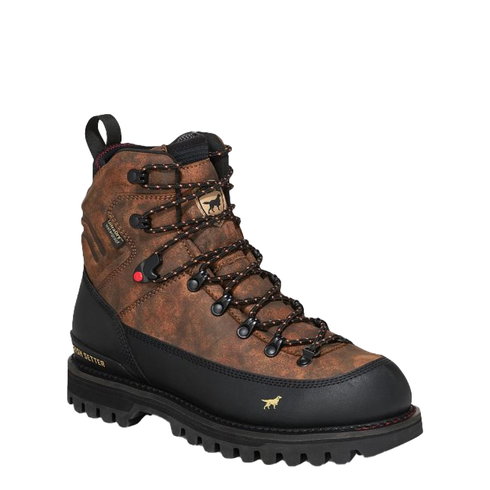 Irish Setter, Men's 8