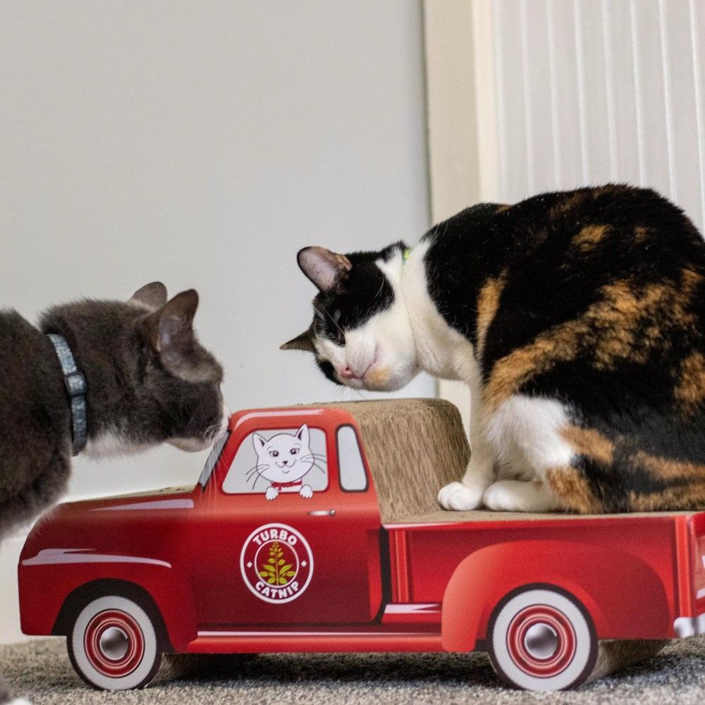 Turbo, Truck Cat Scratcher