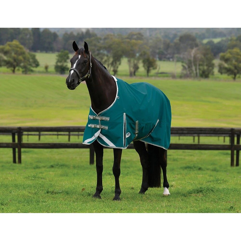 Weatherbeeta, Teal ComFiTec Plus Dynamic II Standard Neck Lite