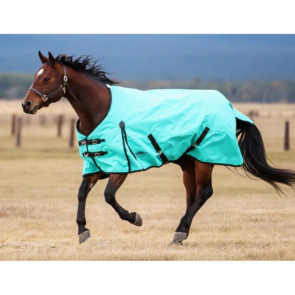 Weatherbeeta, Turquoise/Black ComFiTec Original Standard Neck Medium