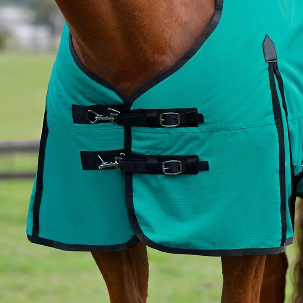Weatherbeeta, Turquoise/Black ComFiTec Original Standard Neck Medium