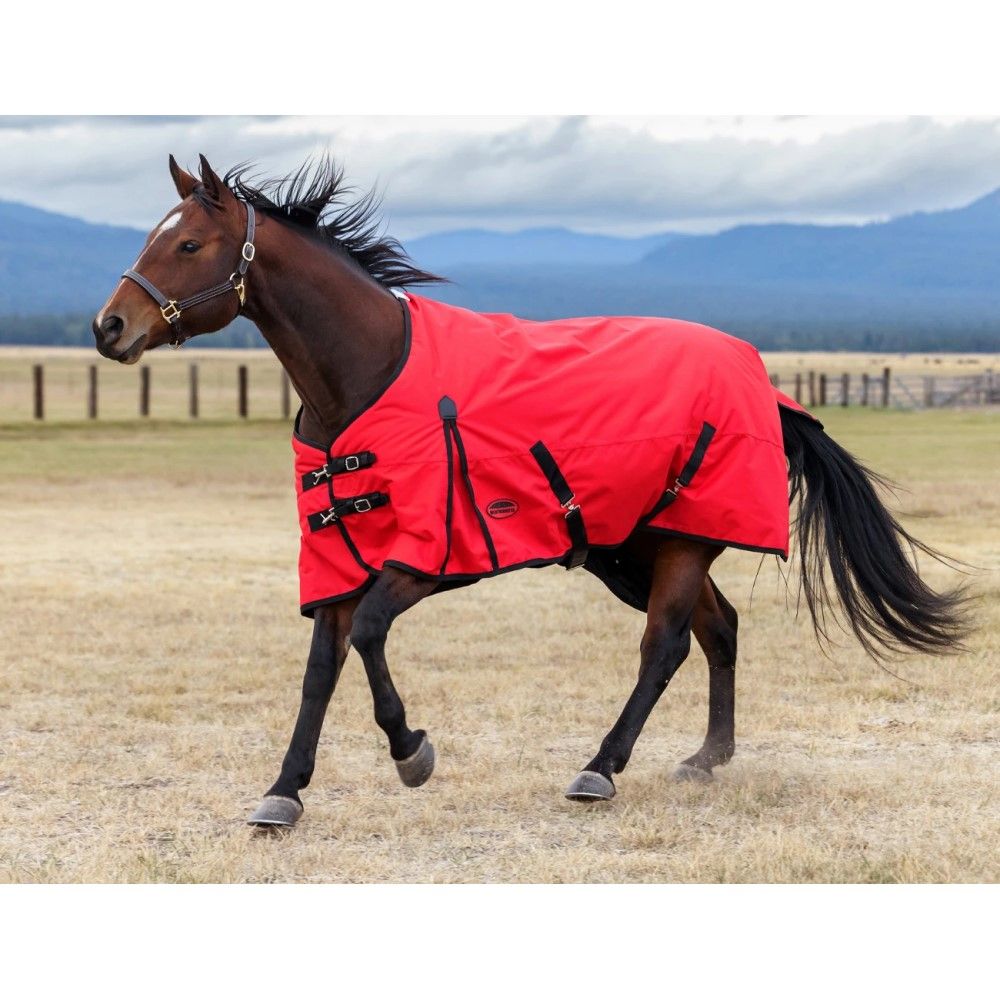 Weatherbeeta, Red/Black ComFiTec Original Standard Neck Lite