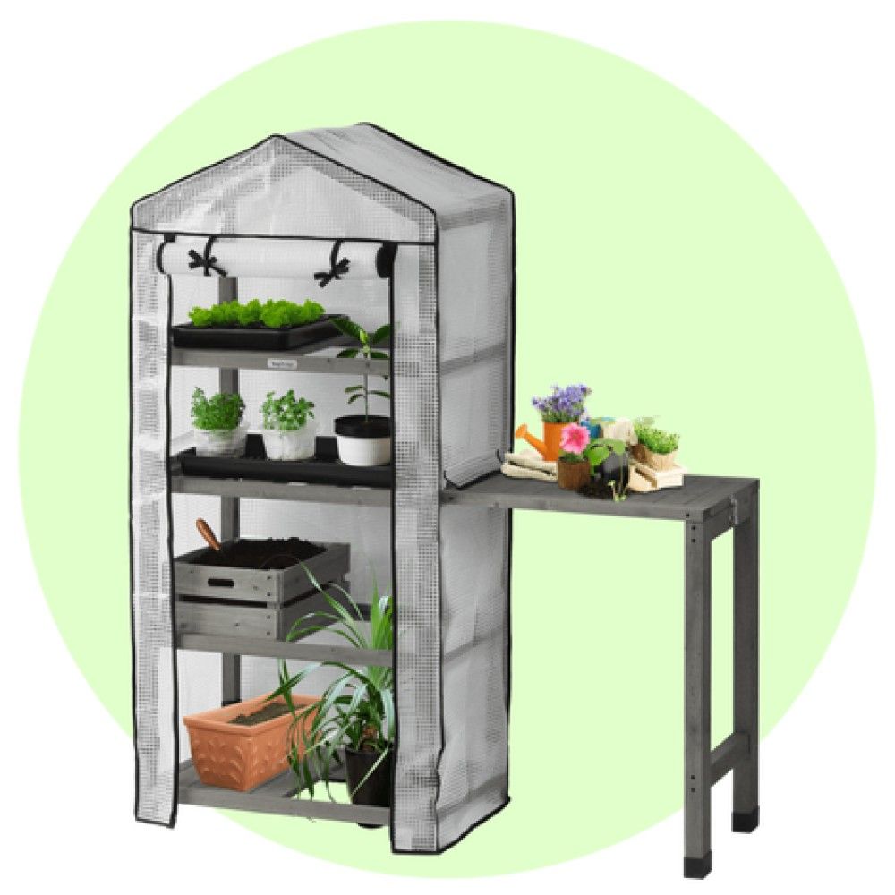 VegTrug, Gray Wash Nursery Greenhouse