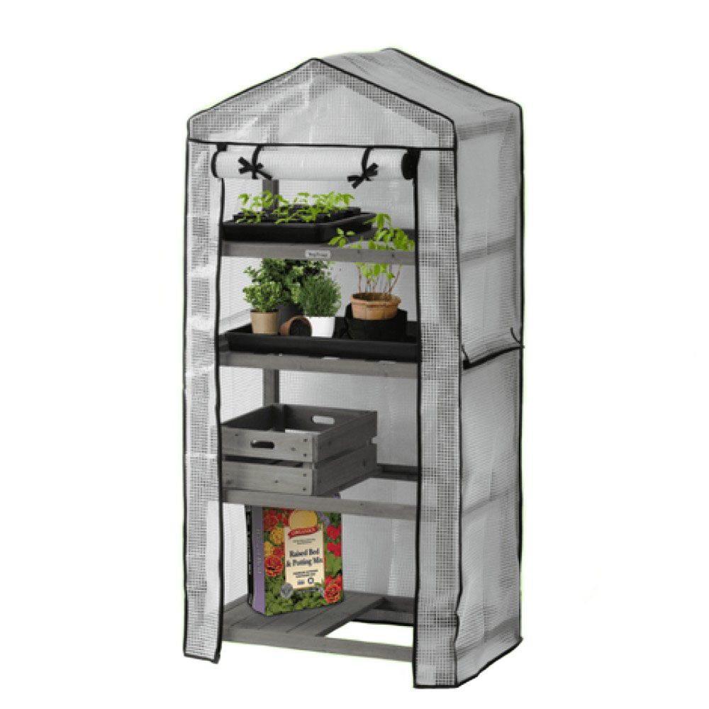 VegTrug, Gray Wash Nursery Greenhouse