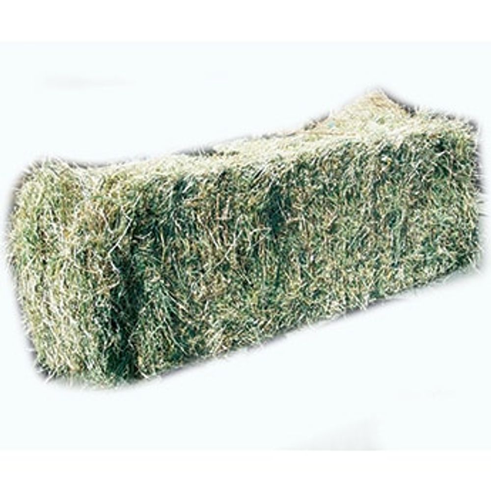 Local Grass Hay Two-String Bale