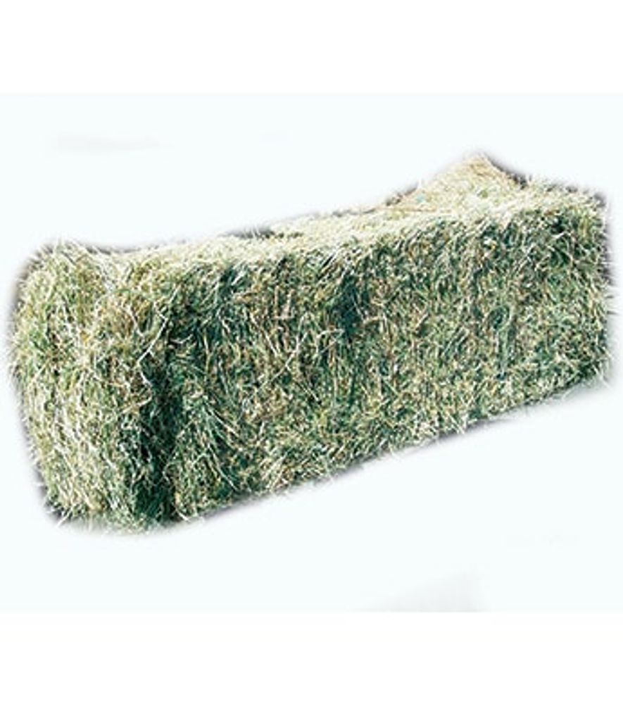 Local Grass Hay Two-String Bale