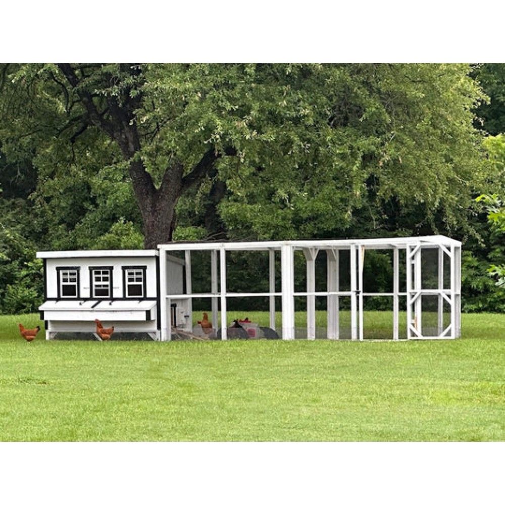 OverEZ, White XL Chicken Coop