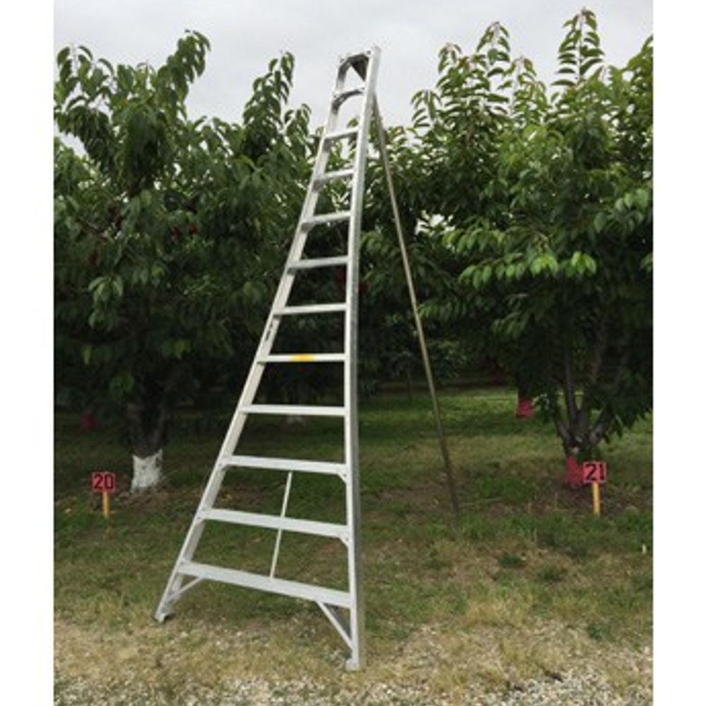 Ladder King, 12' Aluminum Orchard Ladder
